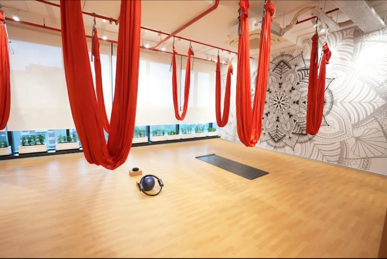 Eclipse Wellbeing- Yoga Studio and school