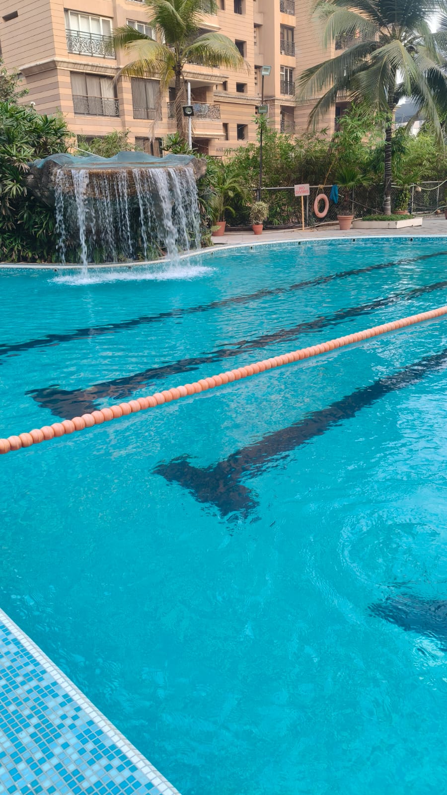 SKF Swimming Classes