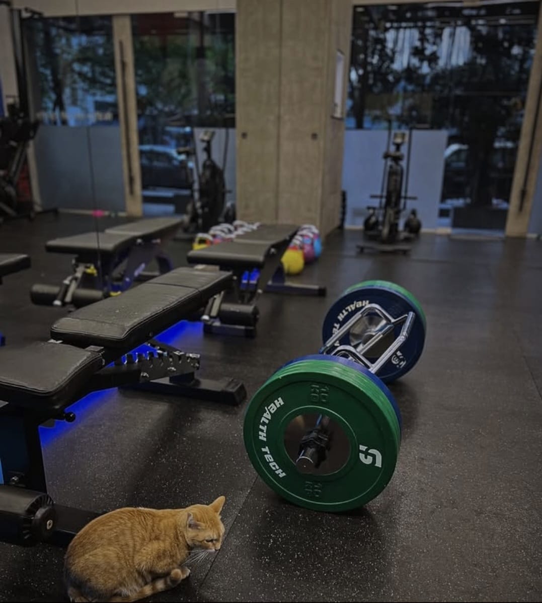 Elevatte Fitness Studio
