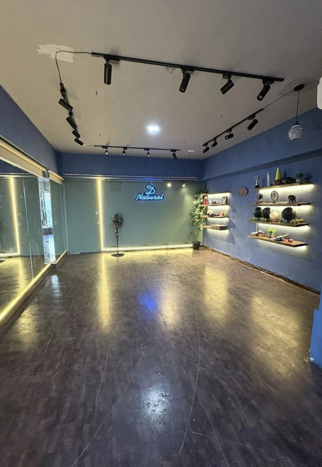D NATURAL STUDIO