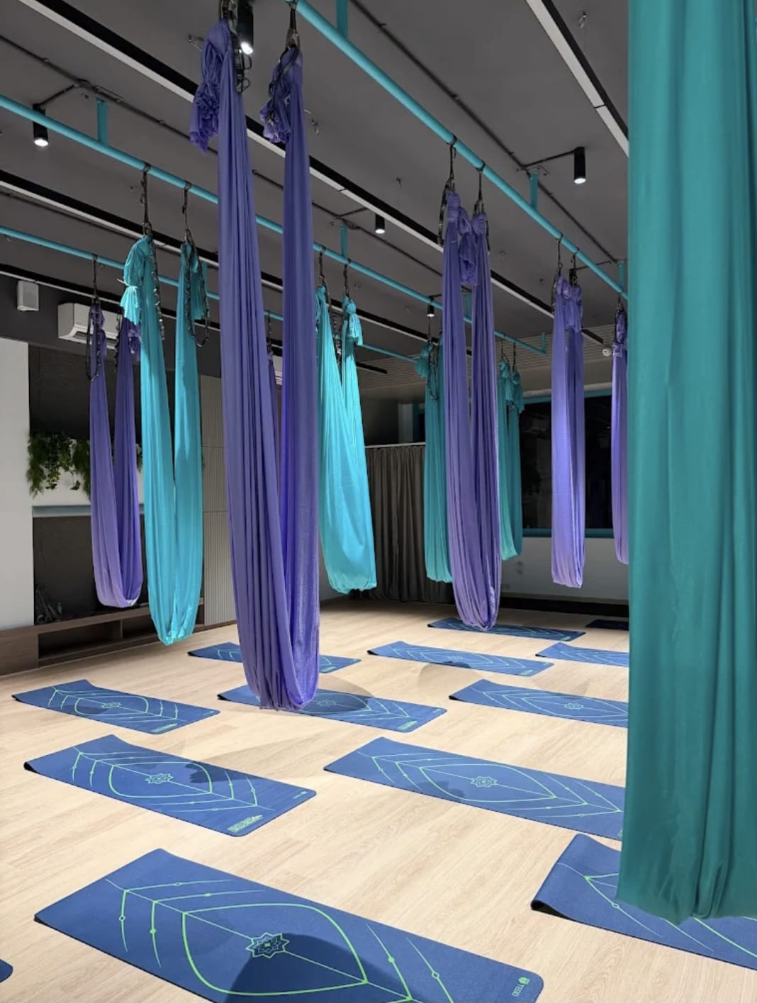 Airborne Aerial Fitness Mazgaon